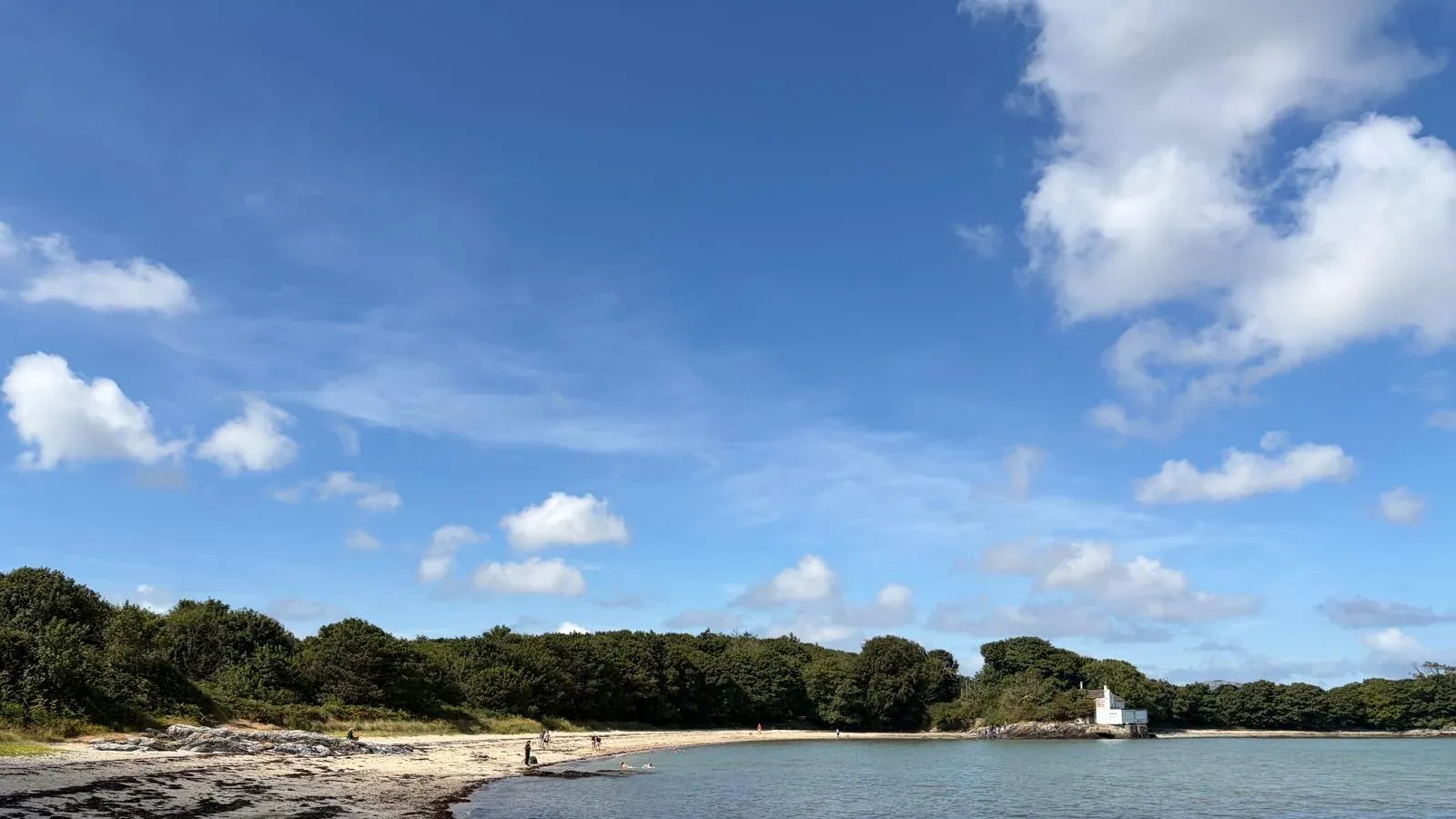 A sheltered sandy cove backed by dense woodland on the shoreline at Penrhos Coastal Park, Holy Island, Anglesey