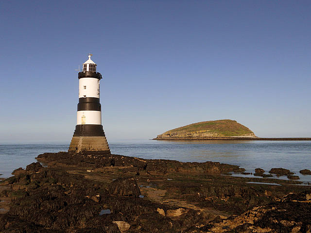 Puffin Island Anglesey boat RIB seabirds