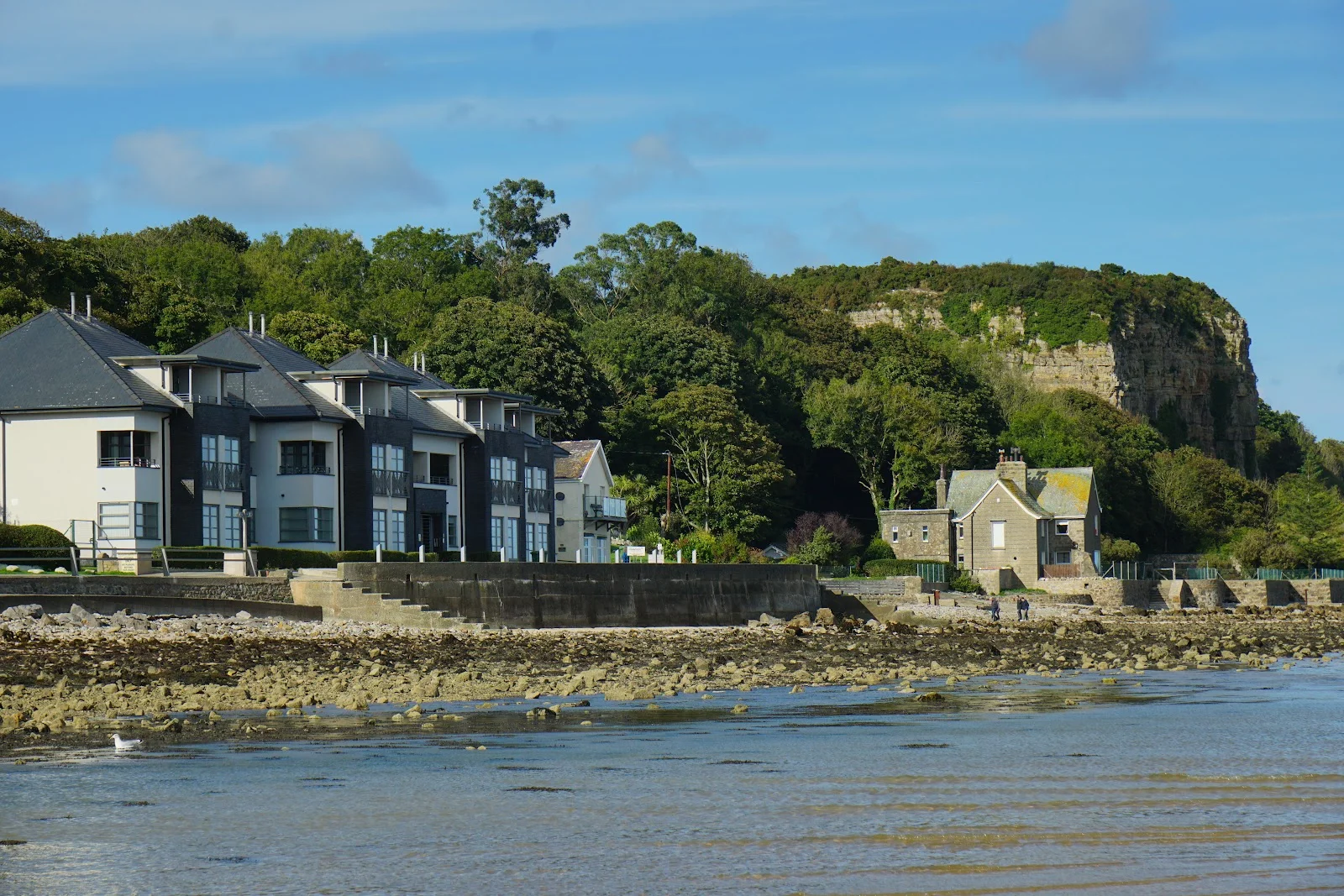 The wooded coast at Red Wharf Bay near Pentraeth, Anglesey
