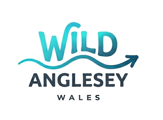 Wild Anglesey
